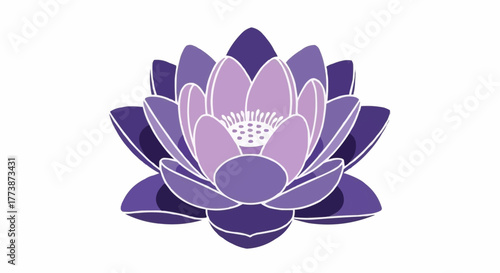 lotus flower isolated on white