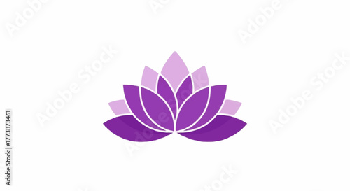 vector illustration of lotus