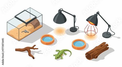 Reptile terrarium setup isometric vector, featuring vivarium, heat lamps, lizard, substrate, and feeding bowls on white background.