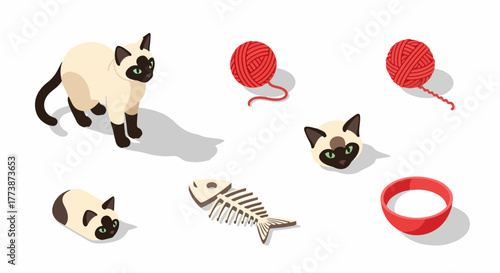 Isometric Siamese Cat and Accessories Vector Set: Illustrations of Feline, Yarn Balls, Fish Skeleton, and Food Bowl on White Background.