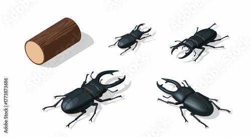 Isometric illustration set of stag beetles (Lucanidae) in different sizes and a wooden log on a white background.