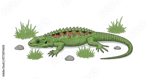 A green lizard resting peacefully among small rocks and tufts of grass.