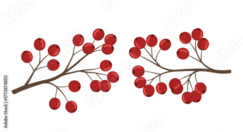 Two clusters of bright red berries on thin brown branches in a symmetrical design.