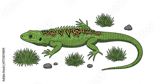 A detailed drawing of a vibrant green iguana surrounded by lush green foliage and rough gray stones.