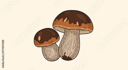 Two brown capped wild mushrooms growing together on a beige background illustration.