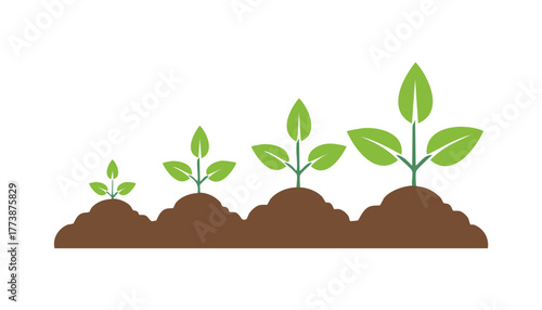 Simple illustration of plant growth stages starting from small sprout to tall mature plant representing progress patience