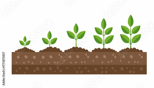 Fresh young plants slowly expand into strong green foliage symbolizing nature progress