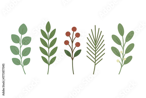 Minimalist collection of green leaves, pine needles, and red berries botanical elements