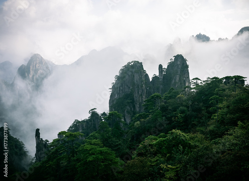 Wallpaper Mural Huangshan Yellow Mountain in China in autumn with fog covering the peaks  Torontodigital.ca
