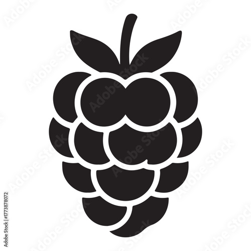 Raspberry Fruit Silhouette Berry Healthy Food