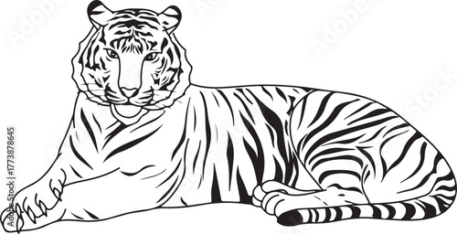 coloring tiger vector illustration