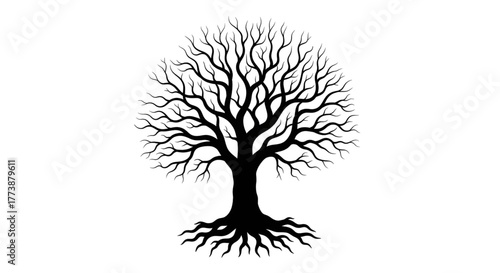 Elegant tree silhouette with intricate branches and roots, perfect for nature designs, family trees, or minimalist branding. Black and white artwork