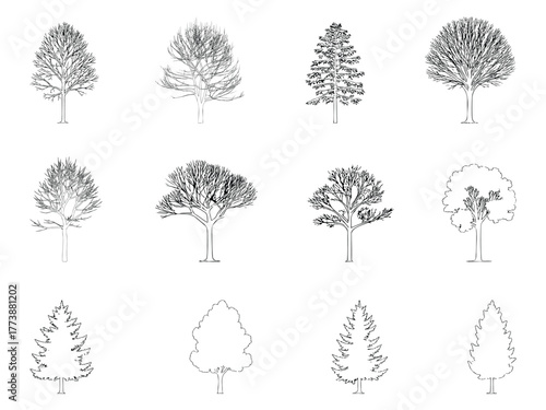 Collection of twelve hand drawn sketch style trees in black and white for architectural or design purposes