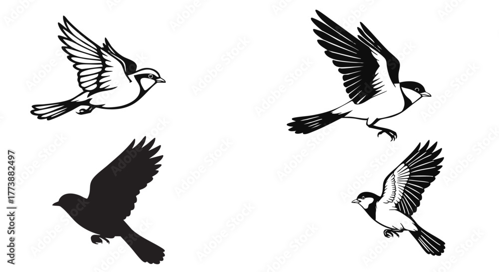 Obraz premium Four detailed vector illustrations of a great tit bird in flight on white background