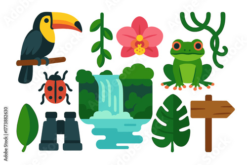 Tropical rainforest elements collection featuring toucan, frog, waterfall, orchid, and binoculars
