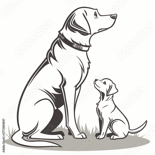 Loyal adult dog and curious puppy sitting together on grass looking up attentively