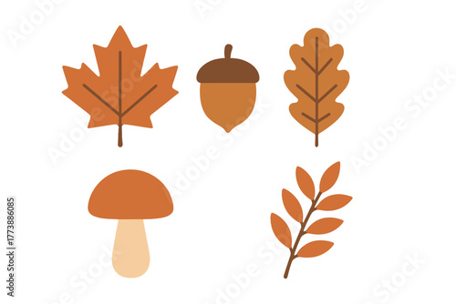 Stylized autumn elements featuring maple leaf, oak leaf, acorn, mushroom, and branch