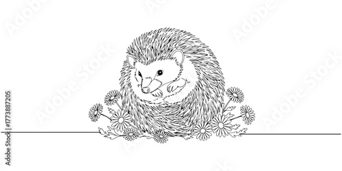 Continuous one line drawing of a hedgehog curled up in a ball surrounded by daisies, style vector illustration.
