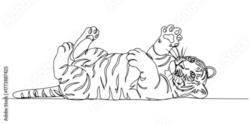 Continuous one line of a tiger cub lying on its back, style vector illustration.
