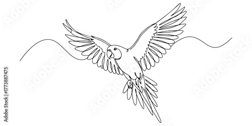 Continuous one line of a flying parrot spreading its wings, style vector illustration.
