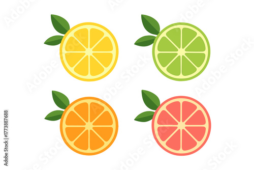 Fresh citrus fruit slices including lemon lime orange and pink grapefruit with green leaves