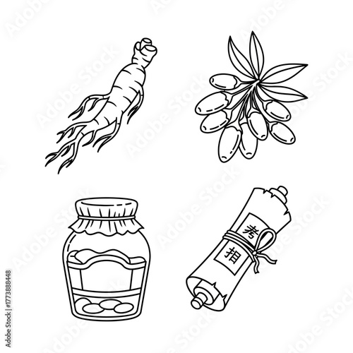 Line art illustration of ginseng, goji berries, jar of pills, and a scroll.