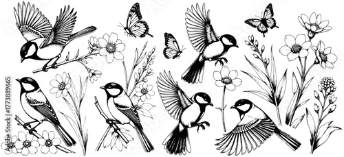 Black and white engraving set of birds, butterflies, and flowers with fine etching details, vintage hand-drawn collection, isolated on transparent background.