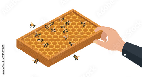 Isometric honeycomb with bees and human hand on white background
