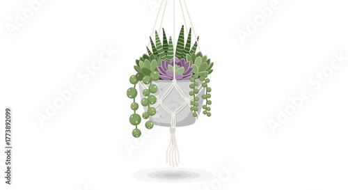 A hanging planter, featuring a mix of succulents and trailing plants, suspended by a macrame hanger