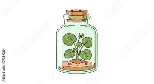 Illustration of a plant growing inside a glass bottle with a cork. The plant has leaves and a small yellow flower