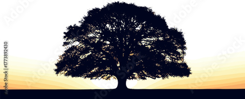 Majestic silhouette of a large oak tree against a vibrant sunset sky, symbolizing growth and nature's beauty