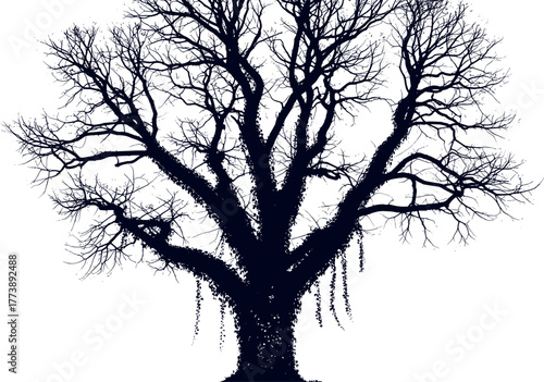 Mysterious bare tree silhouette with gnarled branches and hanging roots, a stark graphic illustration against white, suitable for winter, nature, or dark themes