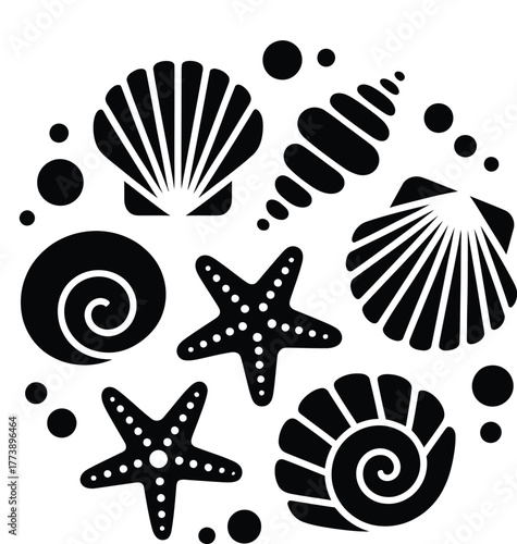 Bundle of different black sea shells and starfish vector