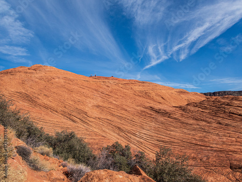 Petrified rock in Snow Canyon 