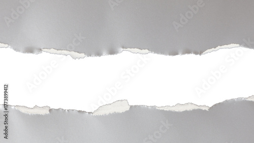 A piece of textured gray paper cut out, empty plate with copy space. Transparent center cutout PNG.