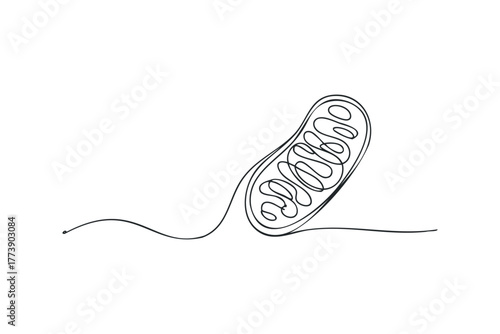 Mitochondrion one line drawing symbol