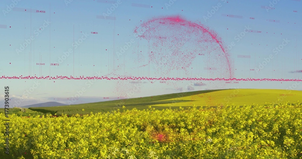 Fototapeta premium Covering farmland, yellow flowering crops extending toward green hills, with red data overlay