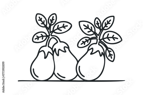 Line drawing of three eggplants on a stem