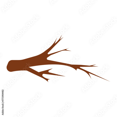 Tree Branch Twig Illustration