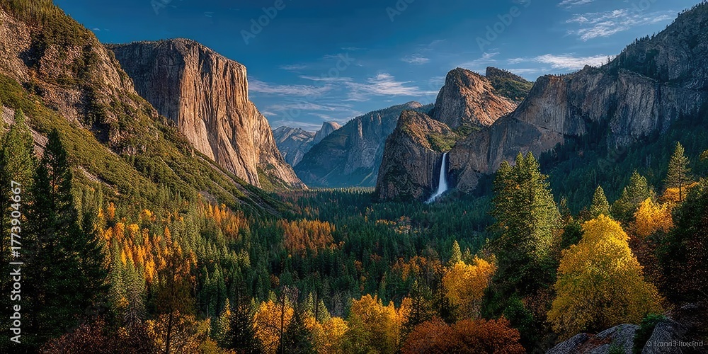 Obraz premium A wide panoramic view of a mountain valley filled with dense forest