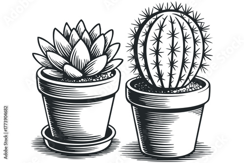 Potted Succulent and Cactus in Crosshatch Style