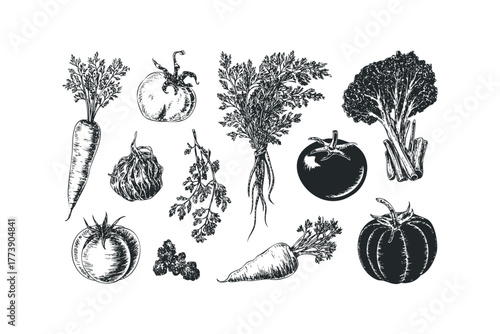 Hand-drawn collection of fresh vegetables with detailed textures