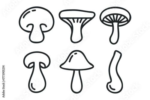 Six Mushroom Outline Styles Collection
