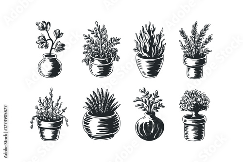 Collection of sketched potted plants in various containers