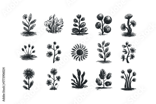 Collection of Hand Drawn Botanical Plant Silhouettes