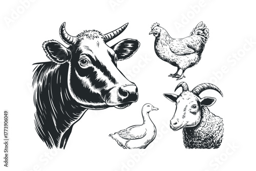 Farm Animals Head Collection Sketch