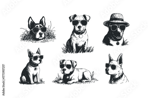 Six dogs wearing sunglasses in monochrome sketch style