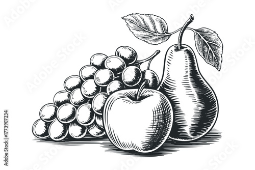 Grapes and Pear with Apple Illustration