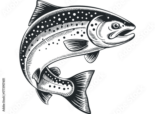 Leaping Salmon Fish Engraved Style