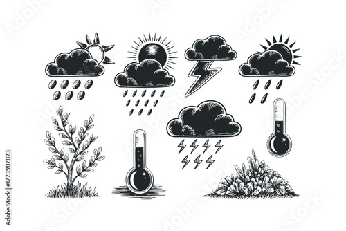 Collection of hand drawn weather symbols and natural elements
